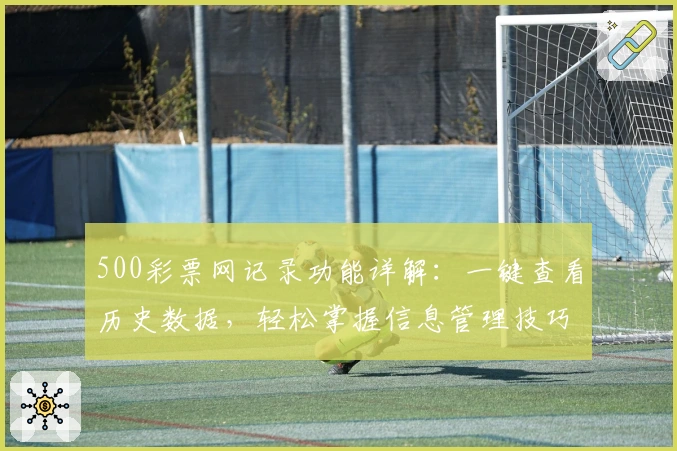 500彩票网记录功能详解：一键查看历史数据，轻松掌握信息管理技巧