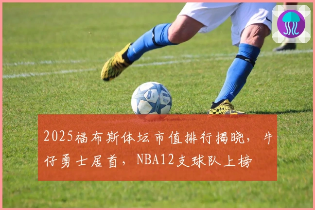2025福布斯体坛市值排行揭晓，牛仔勇士居首，NBA12支球队上榜